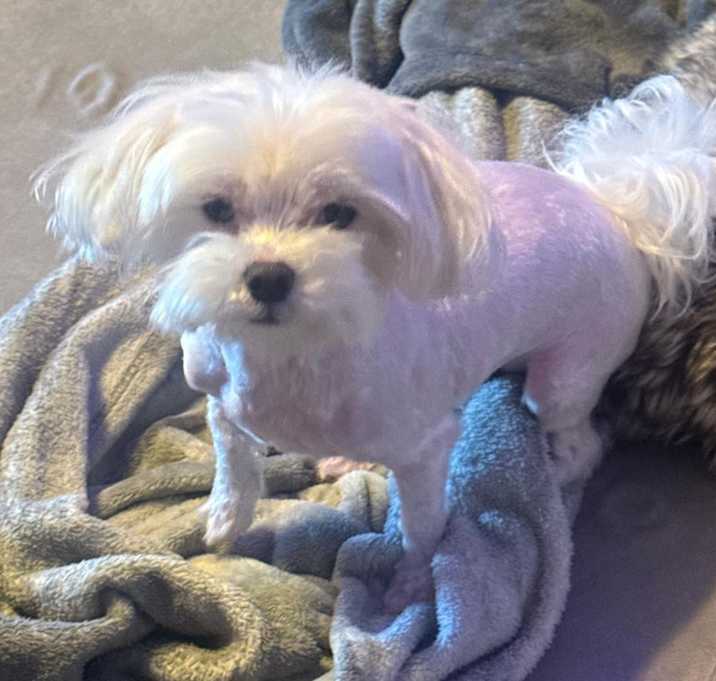 Photo of REMI in RHODE ISLAND