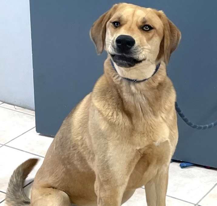 Photo of Tango