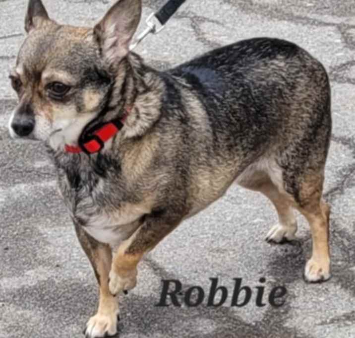 Photo of Robbie
