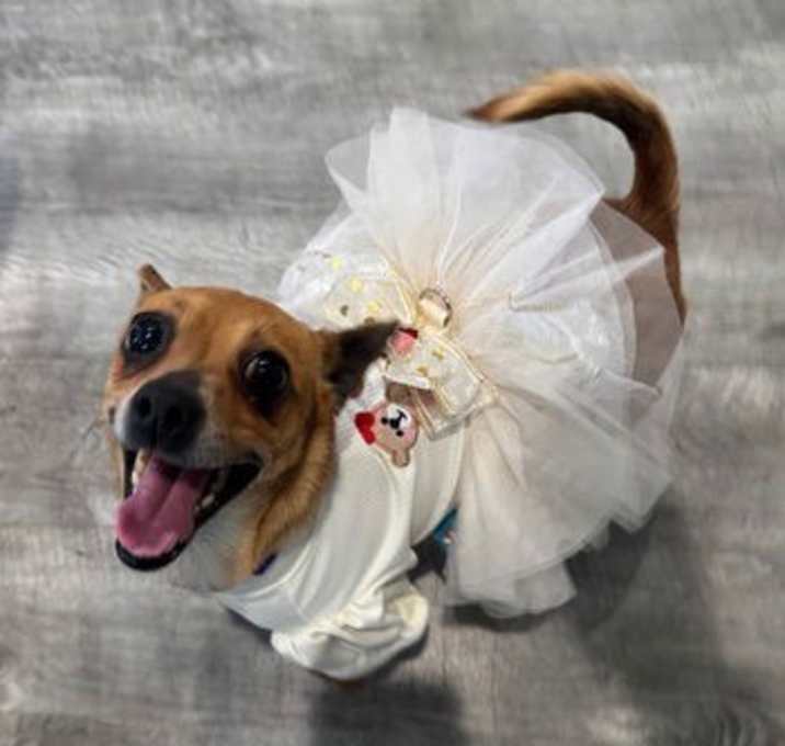 Photo of Phoebe D5733
