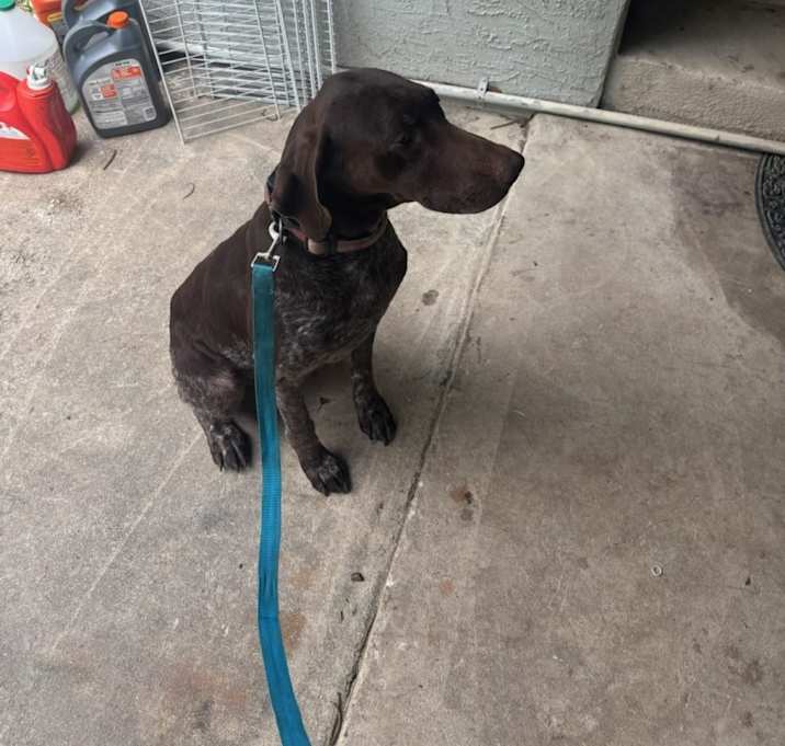 Photo of Penny