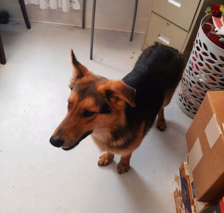 Photo of Thor