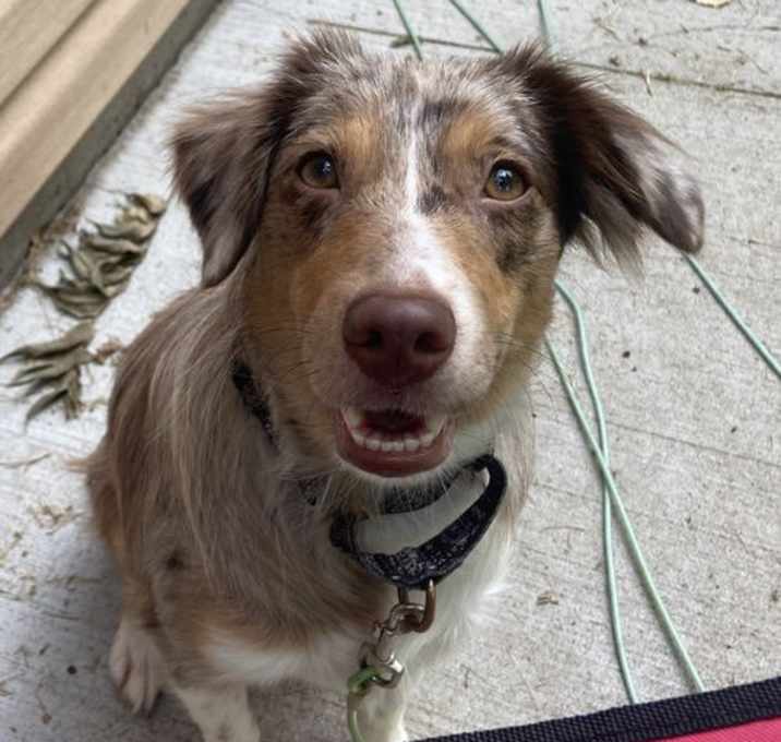 Photo of Jenny