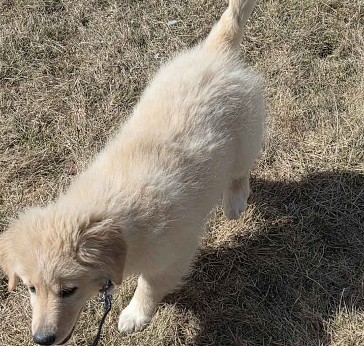 Photo of Yoshi