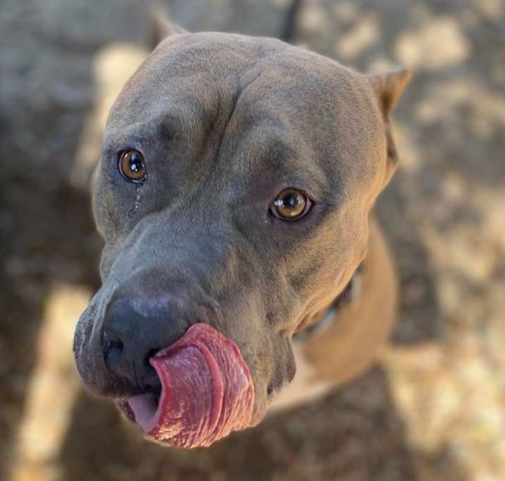 Photo of CLYDE