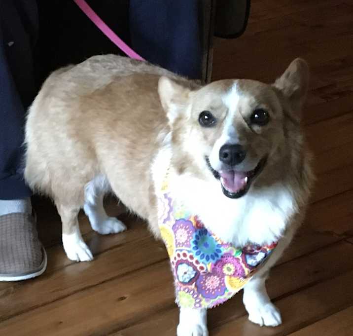 Photo of Maggie