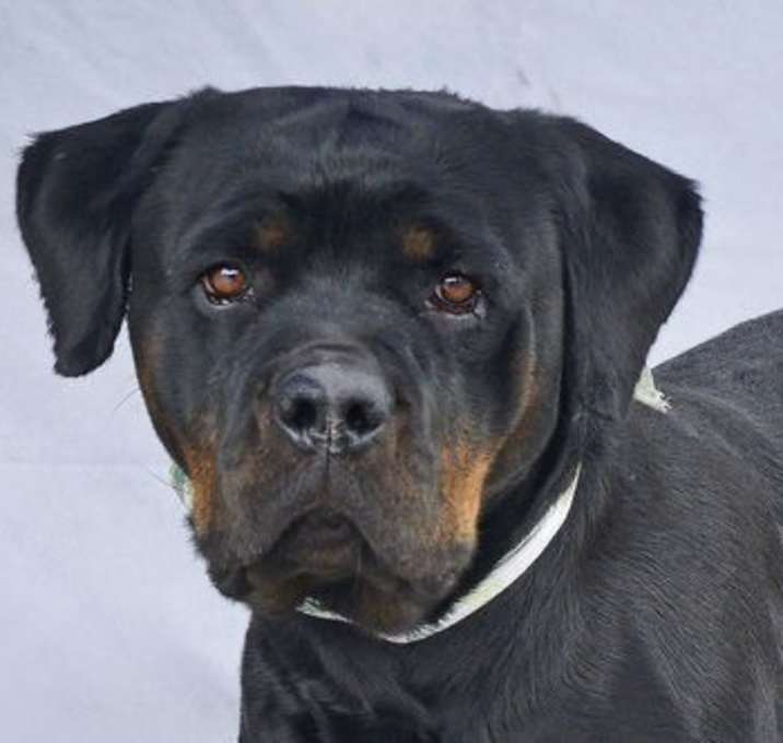 Photo of AYLA