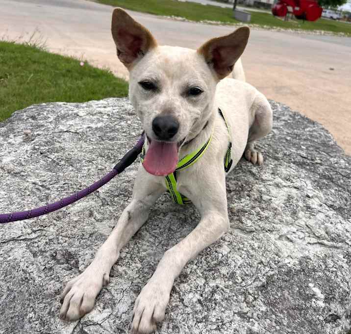 Photo of SOKKA