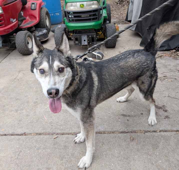 Photo of Zoomer