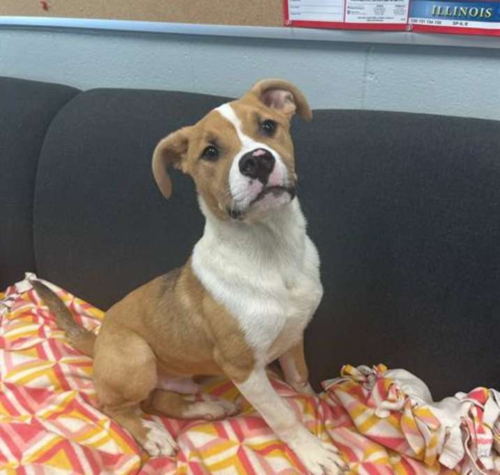 Photo of BUTKUS