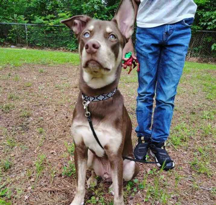 Photo of Obie