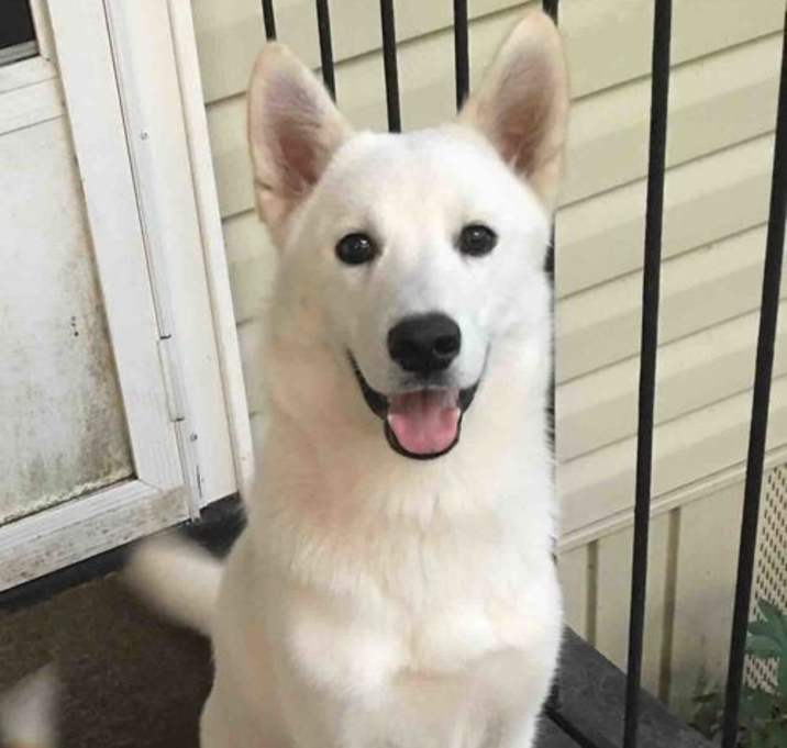 Photo of Olaf