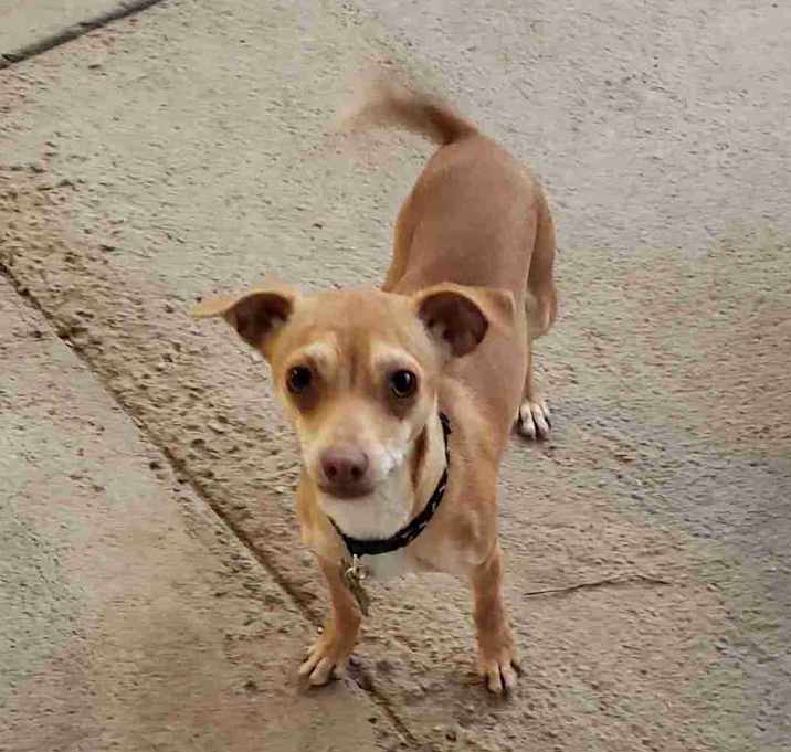 Photo of PIP