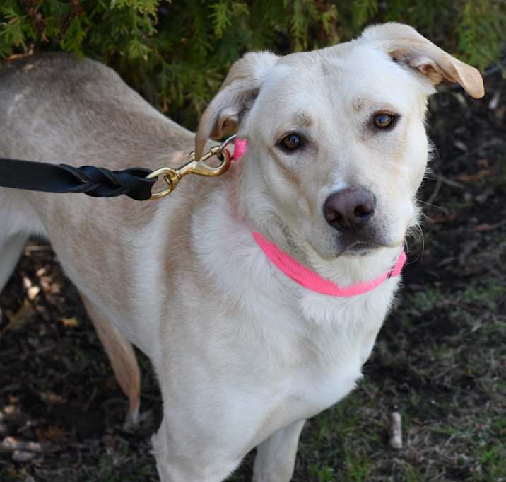 Photo of Lexie
