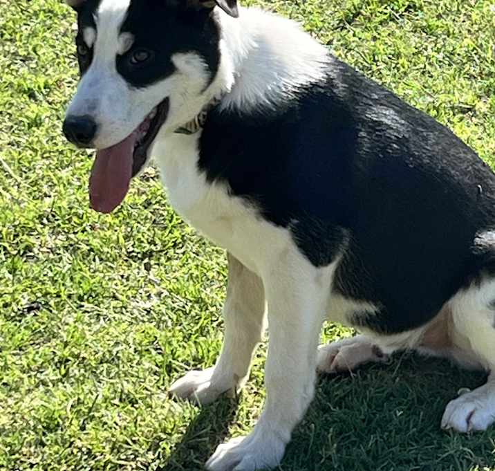 Photo of Jack