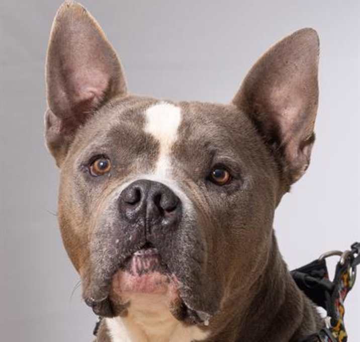 Photo of ZORRO