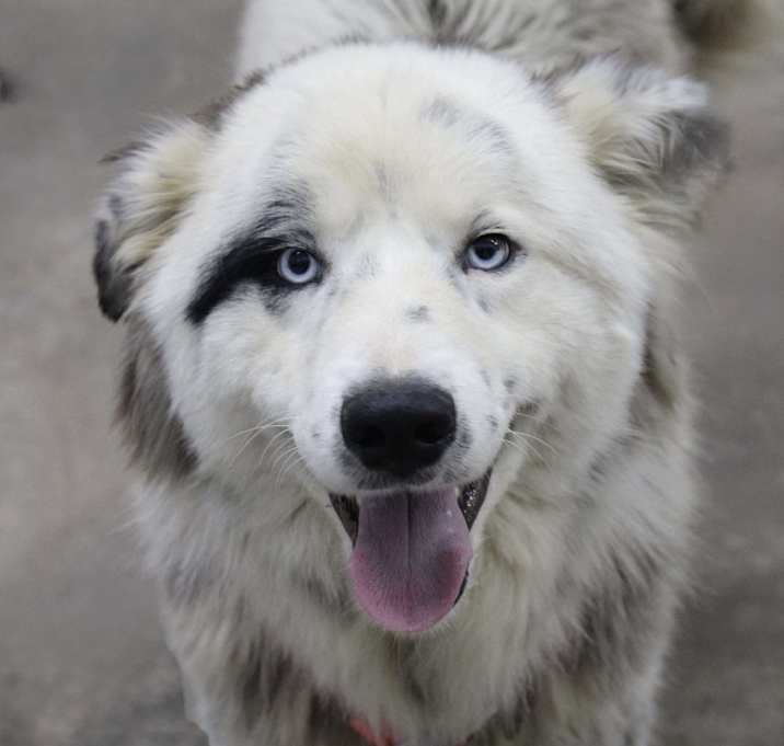 Photo of Finnegan