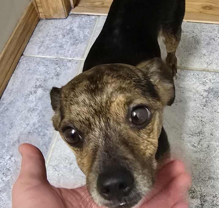 Photo of Jack