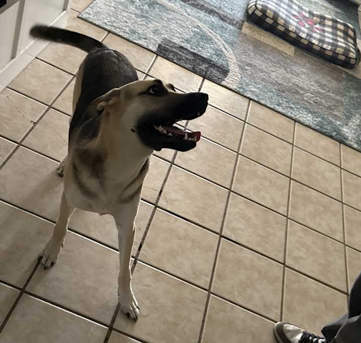 Photo of Ghost