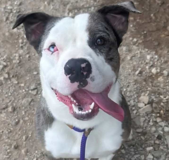 Photo of Wilbur