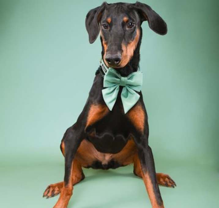 Photo of Kerri