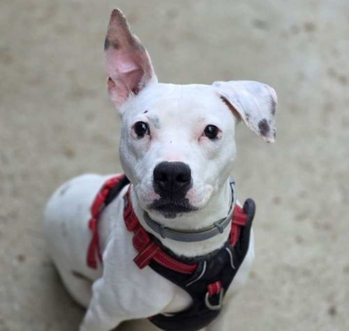 Photo of Patty Cakes