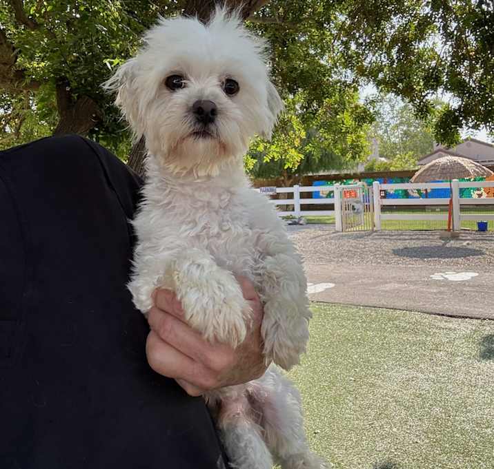 Photo of Sammy