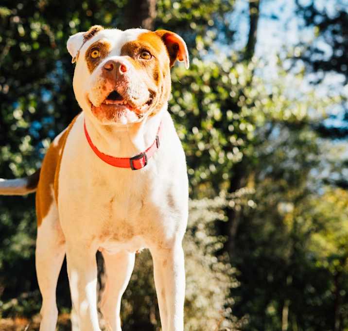 Photo of Dottie