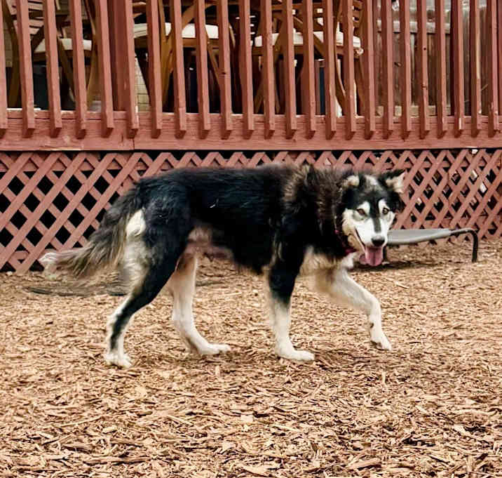 Photo of Momma Bonita