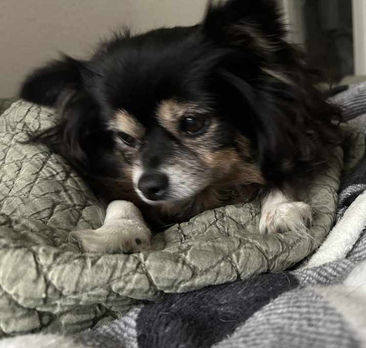 Photo of Nini