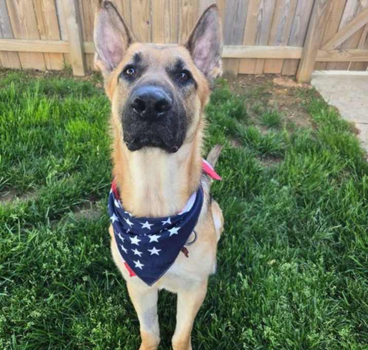 Photo of Maddox