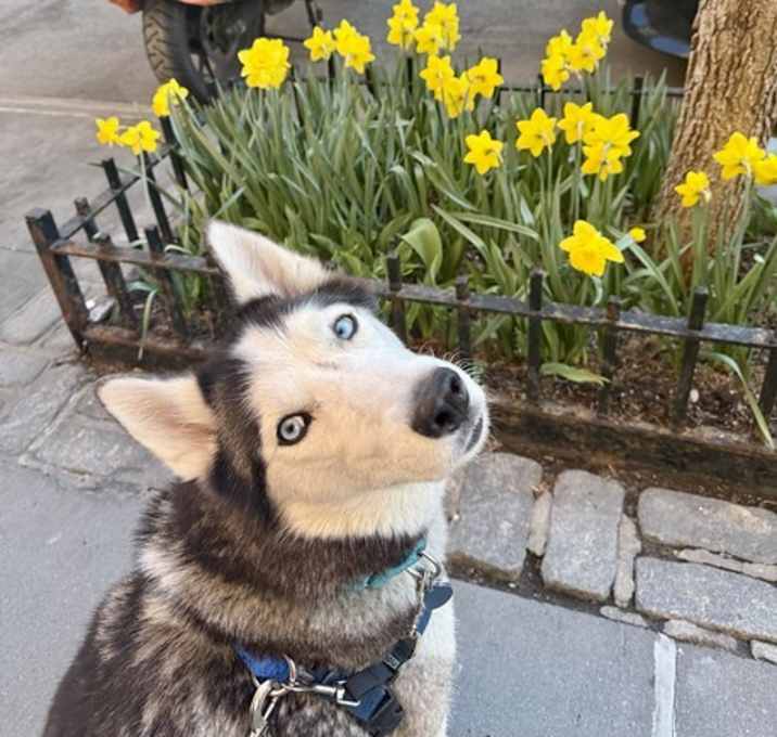 Photo of Delilah