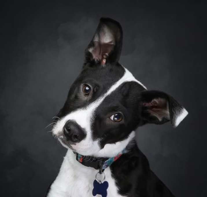 Photo of Jimmy