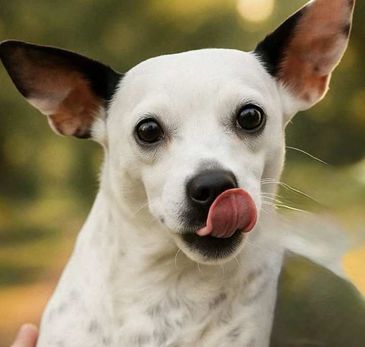 Photo of Tina