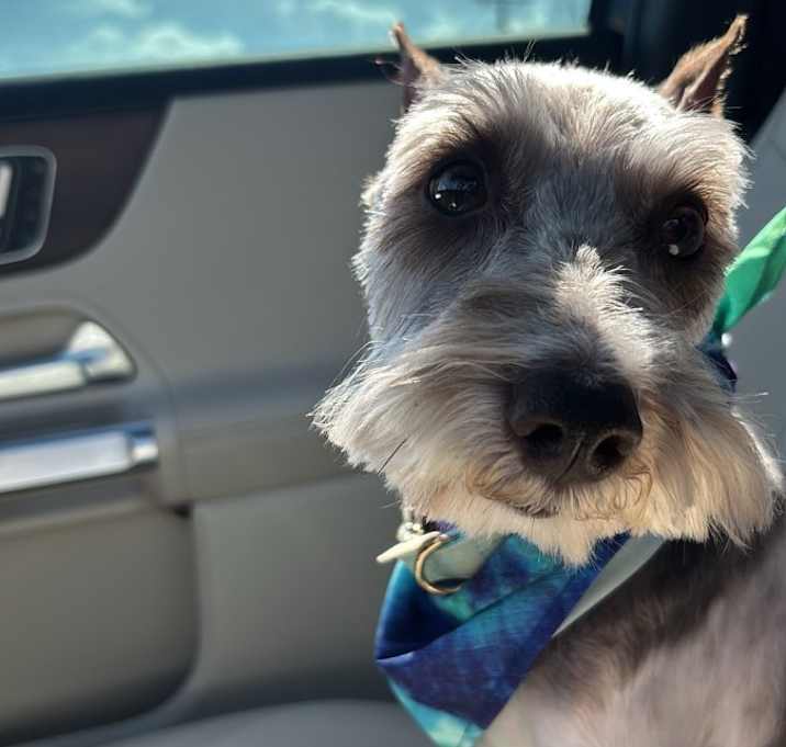 Photo of Arlo