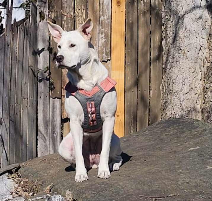 Photo of Meisha