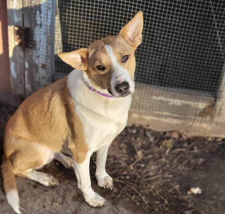 Photo of Chloe