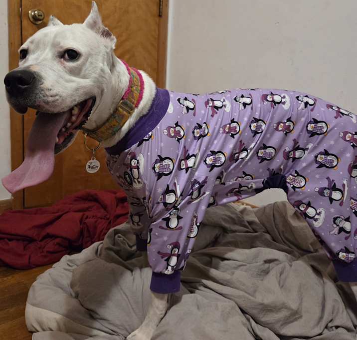 Photo of Persephone