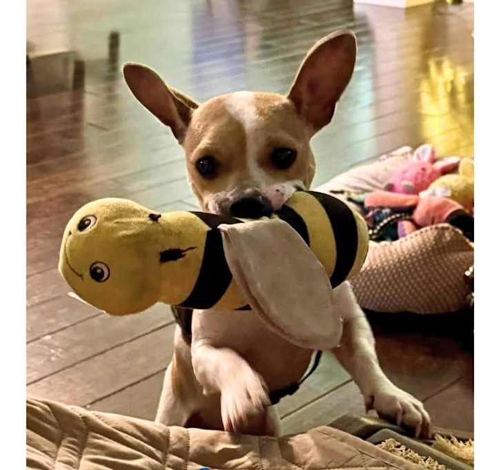 Photo of JACK