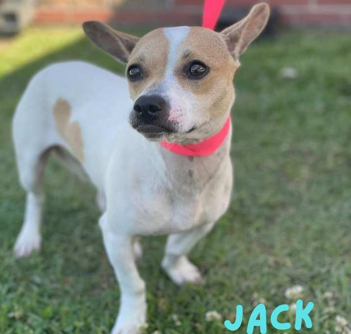 Photo of JACK