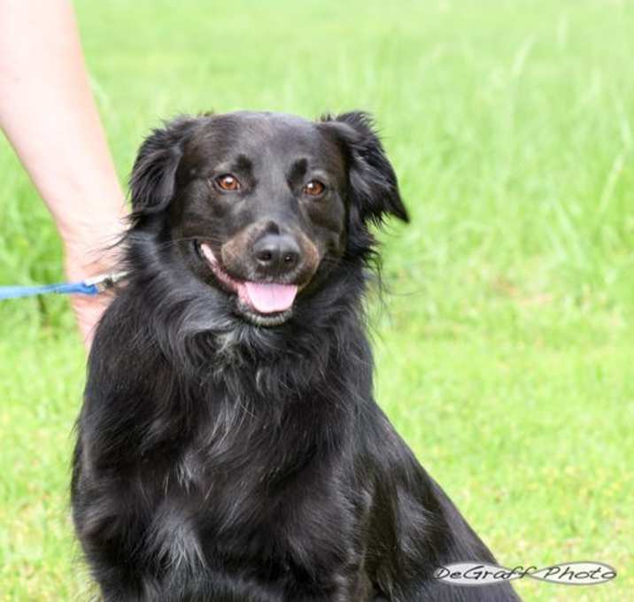 Photo of Bella
