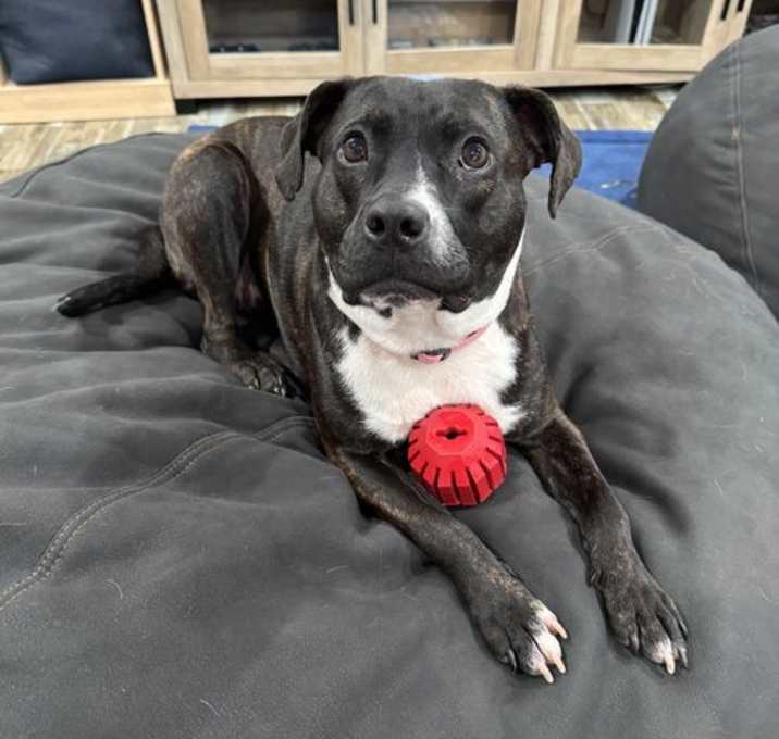 Photo of Polly 0537
