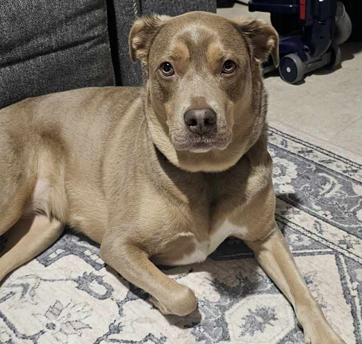 Photo of Myla