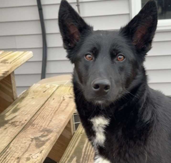 Photo of Sweetie