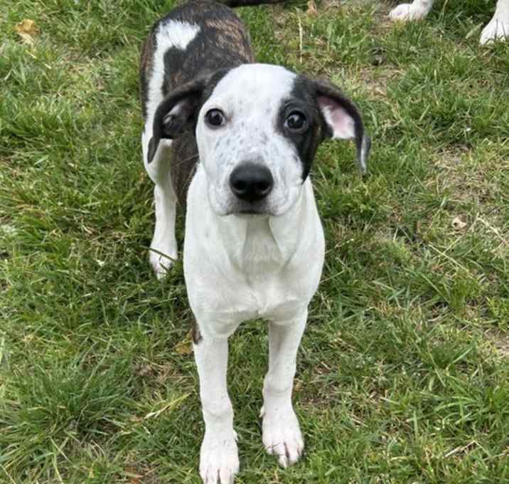 Photo of Bonnie