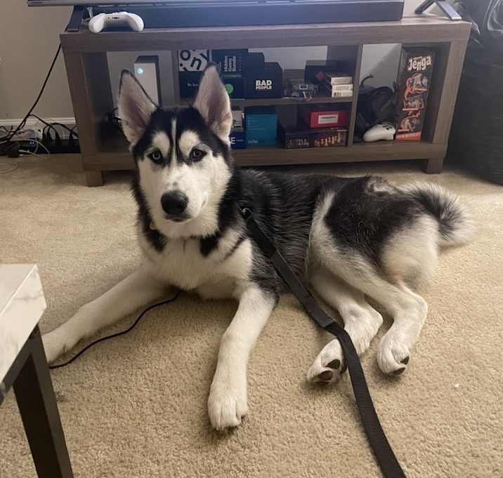 Photo of Buff