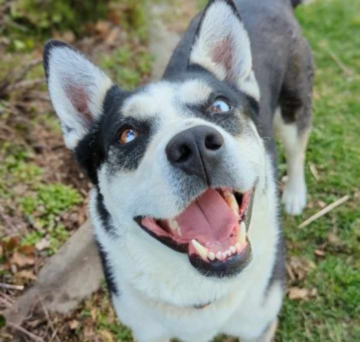 Photo of Gus