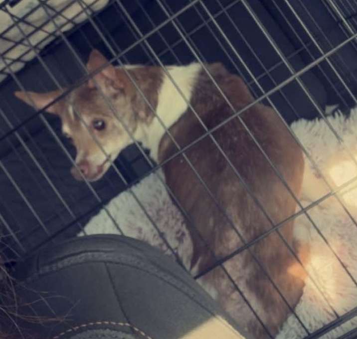 Photo of Benny
