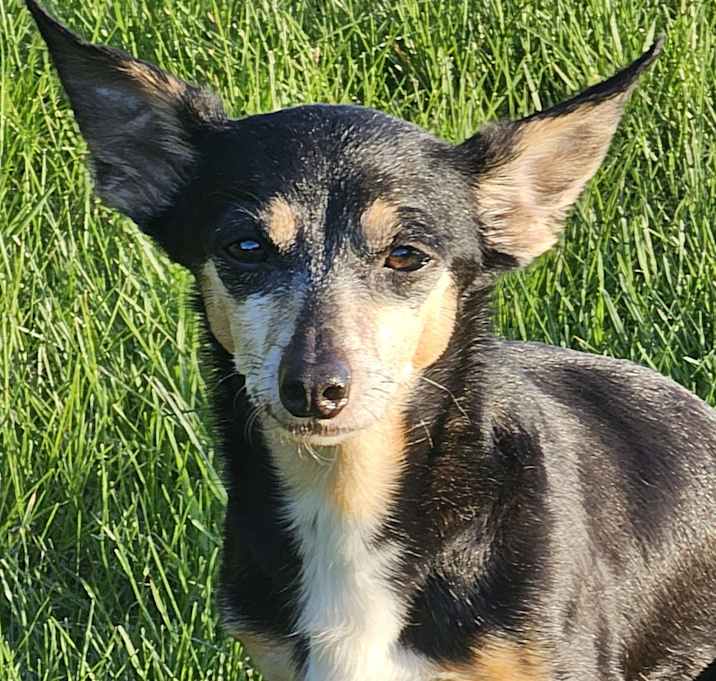 Photo of Greta