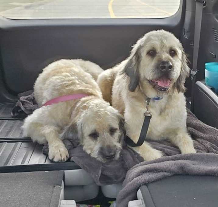 Photo of Millie & Maude (Courtesy Listing)